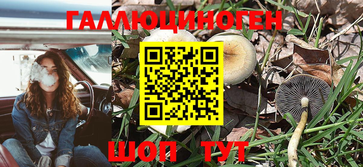 где можно купить наркотик  Псилоцибиновые грибы прущие грибы  Вход с VPN  Куйбышев  Псилоцибиновые грибы GOLDEN TEACHER 